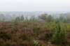 holterberg_072_small.jpg