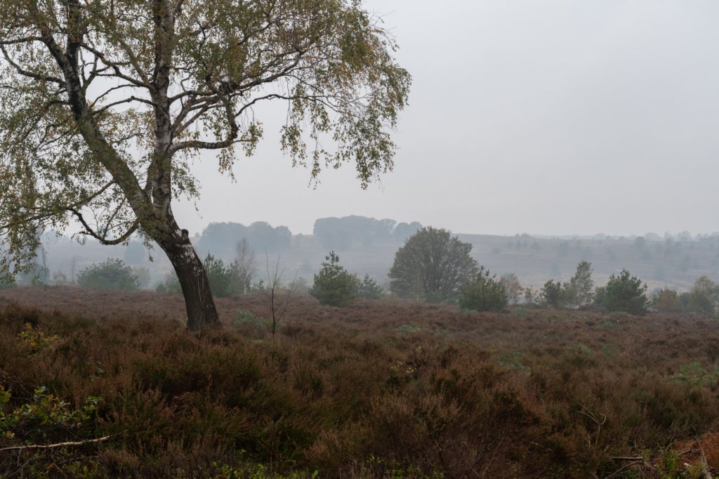 holterberg_073.jpg