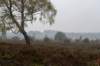 holterberg_073_small.jpg