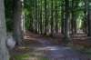 hoorneboegseheide_025_small.jpg