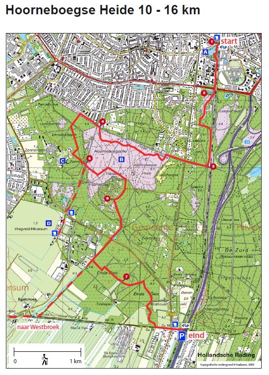 hoorneboegseheide2_0001.jpg