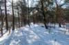 hoorneboegseheide2_003_small.jpg
