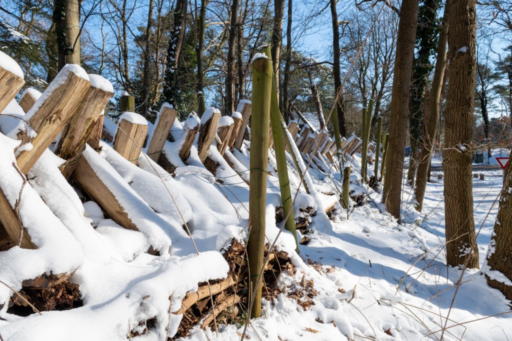 hoorneboegseheide2_004.jpg