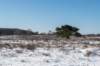 hoorneboegseheide2_009_small.jpg