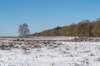hoorneboegseheide2_010_small.jpg