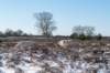hoorneboegseheide2_012_small.jpg