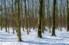 hoorneboegseheide2_026_small.jpg