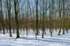 hoorneboegseheide2_027_small.jpg