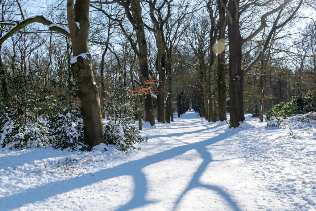 hoorneboegseheide2_030.jpg