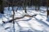 hoorneboegseheide2_049_small.jpg