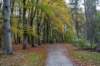 hoorneboegseheide4_005_small.jpg