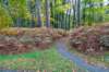 hoorneboegseheide4_006_small.jpg