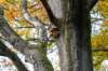 hoorneboegseheide4_011_small.jpg