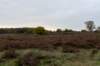 hoorneboegseheide4_031_small.jpg