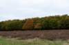 hoorneboegseheide4_033_small.jpg