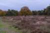 hoorneboegseheide4_035_small.jpg