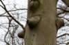 hoorneboegseheide5_007_small.jpg