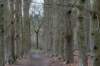 hoorneboegseheide5_008_small.jpg