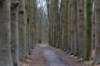 hoorneboegseheide5_009_small.jpg
