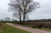 hoorneboegseheide5_014_small.jpg