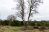 hoorneboegseheide5_018_small.jpg