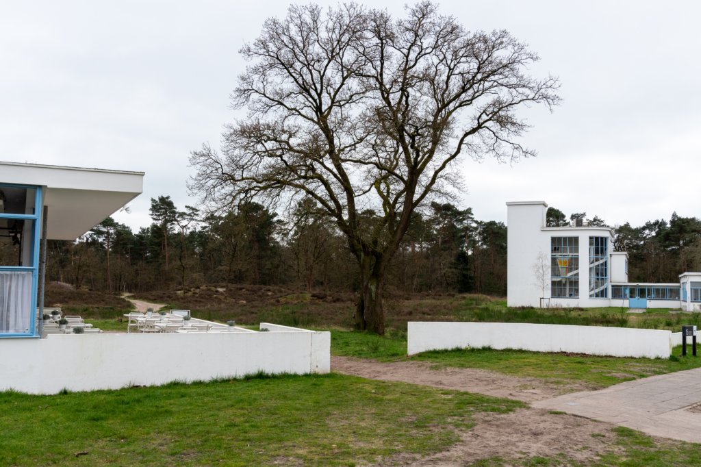 hoorneboegseheide5_024.jpg
