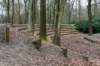 hoorneboegseheide5_028_small.jpg