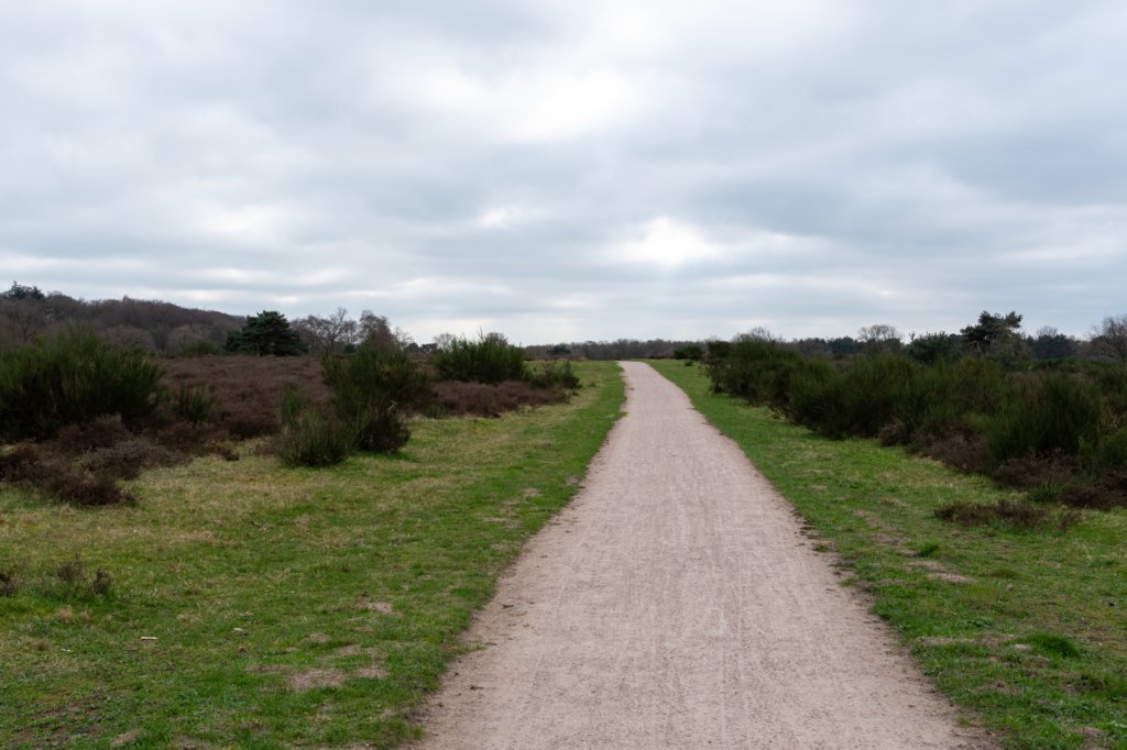 hoorneboegseheide5_032.jpg