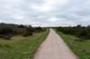 hoorneboegseheide5_032_small.jpg