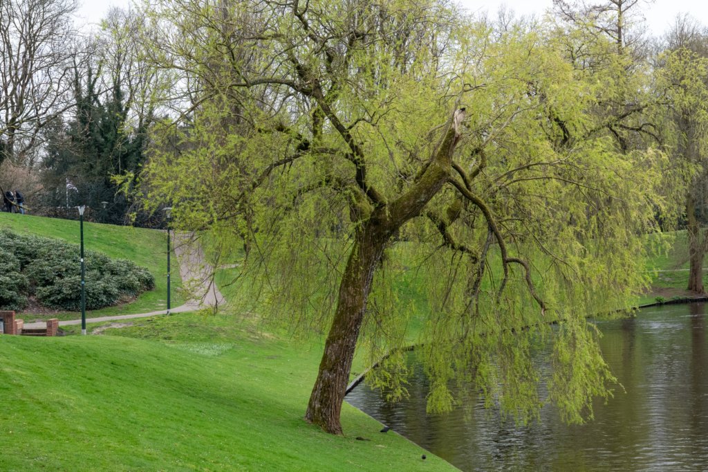 hoorneboegseheide5_036.jpg