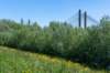 hurnsekil_012_small.jpg