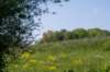 hurnsekil_014_small.jpg