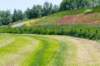 hurnsekil_021_small.jpg