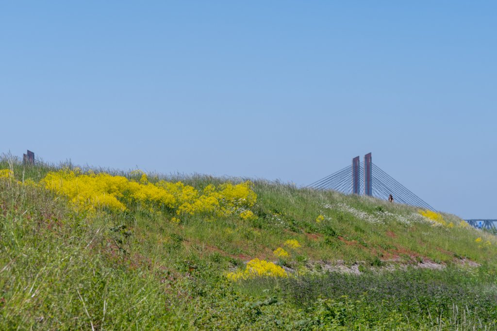 hurnsekil_022.jpg