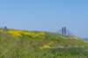hurnsekil_022_small.jpg