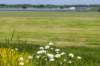 hurnsekil_024_small.jpg