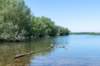 hurnsekil_030_small.jpg