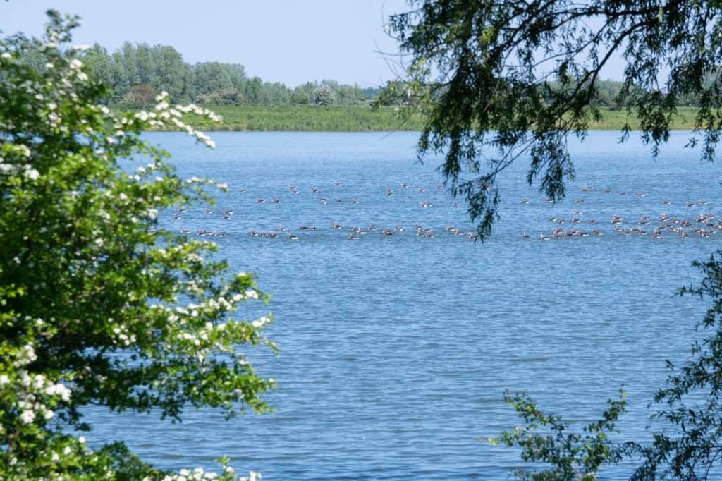 hurnsekil_032.jpg