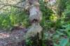 hurnsekil_039_small.jpg