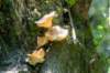 hurnsekil_041_small.jpg
