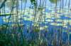 hurnsekil_043_small.jpg