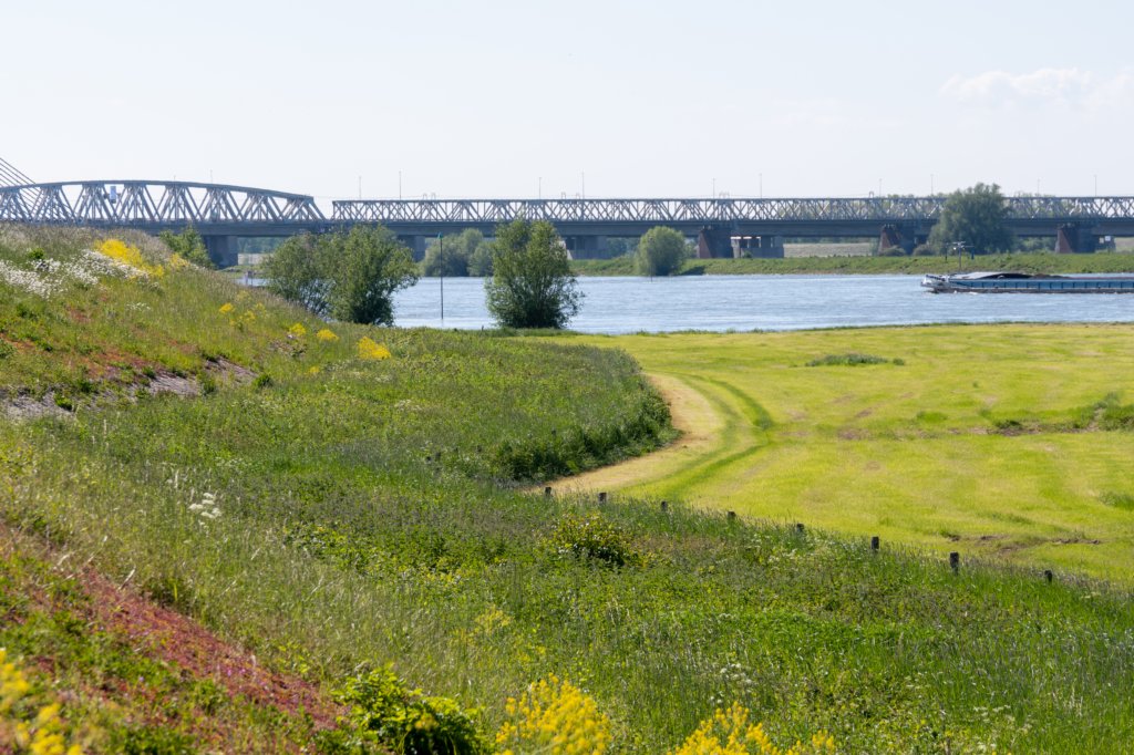 hurnsekil_045.jpg