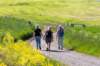 hurnsekil_046_small.jpg