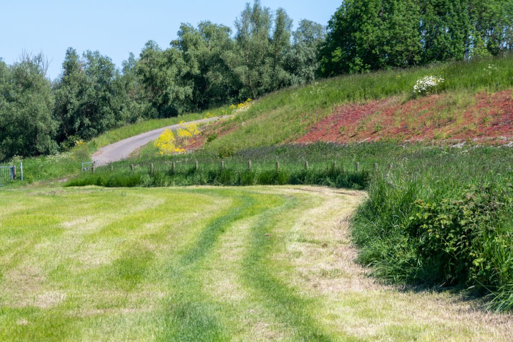 hurnsekil_047.jpg