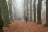 arnhem_001_small.jpg