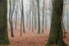 arnhem_002_small.jpg