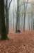 arnhem_003_small.jpg