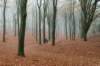 arnhem_004_small.jpg