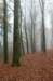 arnhem_005_small.jpg