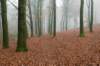 arnhem_006_small.jpg